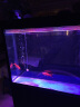 森森鱼缸专用T8 变色LED三基色七彩照明灯管水族箱 草缸造景变色LED灯 105cm 针插三色变色16W（无电源线） 实拍图