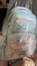 Hello Kitty库洛米书包女生小学生三二一年级2025新款女童护脊减负儿童双肩包 96651B玉桂狗蓝（一到三年级） 实拍图