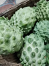 采缇（CAITI）现货大目凤梨释迦果5斤 新鲜番荔枝佛头果水果孕妇整箱 一个装（单果250g左右中通快递） 实拍图