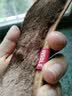 华宝驰 3双防寒棉鞋垫保暖男加绒加厚女冬季雪地靴毛绒鞋垫子绒透气带毛 深棕色 3双 39码 实拍图