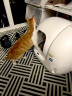 小佩智能猫砂盆全自动猫厕所MAX 自动猫砂盆电动铲屎机全封闭式隔臭 晒单实拍图