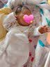 mymini婴儿投降式襁褓翅膀睡袋新生儿宝宝防惊跳包裹春秋冬棉用品防踢被 森林熊【前2层后1层】 63cm(8.5-13.5斤宝宝)M码 实拍图