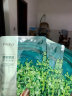 珀莱雅面膜 小球藻面膜补水保湿海藻面膜男女士补水面膜 33片 实拍图