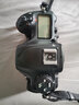 尼康/Nikon D7000 D7100 D7200 D500 D610 半画幅中端二手单反数码相机 D500[单机] 99成新 实拍图