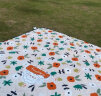 京东京造户外野餐垫 公园帐篷防潮垫 超声波可机洗地垫 繁花200*200cm  晒单实拍图