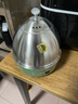 名友（meyou） 煮蛋器304全不锈钢多功能家用早餐单层小型水干断电防干烧自动断电迷你蒸蛋器煮鸡蛋 复古绿 单层 实拍图