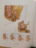 奈特外科学彩色图谱——解剖与手术入路 实拍图