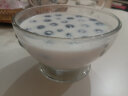 LA ROCHERE法国进口复古玻璃甜品碗果蔬沙拉碗水果碗冰激凌碗碗具餐具玻璃碗 拿破仑玻璃碗/600ml 晒单实拍图