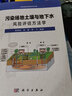 污染场地修复系列专著：污染场地土壤与地下水风险评估方法学 实拍图