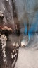 极限地球：瑰丽震撼，万物生长—艺术科普摄影集 晒单实拍图