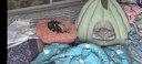 坏小宠网红猫窝冬季保暖四季通用狗窝猫屋猫床凉席夏季狗窝小型犬幼犬狗 蜜桃粉M号（8斤猫咪/5斤狗狗） 实拍图