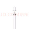 Apple Pencil (第一代) 含USB-C转换器 适用iPad mini5/iPad Air3/iPad 10.2英寸(第九/十代) 实拍图