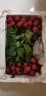 辰实（顺丰）樱桃萝卜 新鲜水果红萝卜圆红萝卜 农家蔬菜迷你小萝卜 3斤 （带叶） 实拍图