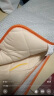 南极人床垫软垫加厚0.9米床 学生宿舍单人大学寝室上下铺床褥子海绵垫子 实拍图