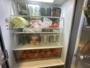 星优冰箱收纳盒 PET食品级保鲜盒厨房整理盒食物蔬菜储存冷冻水果日 高级透明色-大号【1个装】 实拍图