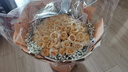 来一客情人节鲜花99朵红玫瑰花束生日礼物表白求婚全国同城配送 52朵香槟玫瑰 实拍图