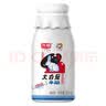 光明一只椰子椰汁奶大白兔奶糖牛奶巧克努力含乳饮品250ml/瓶低温饮品 大白兔牛奶250ml*8瓶 实拍图