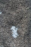 派得猫砂  原味豆腐猫砂活性炭混合猫砂多规格易可冲厕所 活性炭豆腐混合猫砂2kg*4袋 实拍图