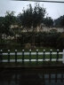 pvc草坪塑钢护栏户外花园围栏塑料栅栏花坛室外绿化带花池小栏杆 绿色 30cm高/米 晒单实拍图