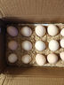 莳篱 鲜鸡蛋 营养早餐 普通鸡蛋 柴鸡蛋笨鸡蛋 土鸡蛋30枚【50g/枚起】 实拍图