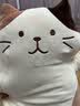 HAPiNS情人节礼物抱枕猫咪公仔玩偶可爱毛绒布玩具生日礼物男生送女友 凉感奶酪猫【科技升级】 75cm 实拍图