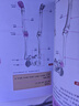 3D人体解剖百科手册 人体解剖学彩色学图谱 物图谱解剖学医疗医学图谱入门书 西医解剖学外科医生学生用书 解剖学书籍 实拍图