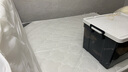 斯帝米澜床垫席梦思弹簧床垫乳胶椰棕垫20cm厚双人租房经济型软硬两用 20cm经典+针织面料（软硬适中） 1500*1900 实拍图