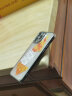 闪魔 苹果13手机壳 iPhone13Pro Max保护套镜头全包透明磨砂防指纹防摔软壳 苹果13ProMax【镜头全包*不沾指纹】银白色 实拍图