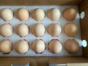 圣迪乐村 鲜本味 德国罗曼白羽鸡蛋30枚礼盒装 净含量1.35kg 实拍图