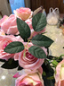 伊芙美 仿真玫瑰花客厅装饰电视柜插花摆设绢花单支塑料假花花束电视柜摆件 粉红色 手感玫瑰花 实拍图