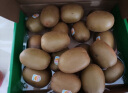 佳沛（zespri）新西兰阳光金奇异果6粒装 经典果单果约80-103g 水果 猕猴桃 实拍图