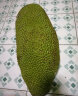 鲜贡园大果海南黄肉菠萝蜜30-35斤一整个新鲜当季热带木波罗蜜生鲜水果 晒单实拍图