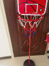 宏登儿童篮球架幼儿园可升降篮球框家用投篮筐小男孩球类玩具HD352A 实拍图