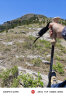 伯希和HIKER碳素登山杖碳纤维爬山拐杖伸缩徒步登山棍手杖16403602黑色 晒单实拍图