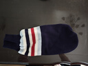迪普尔 狗狗衣服狗衣服猫衣服宠物冬天中型犬大型犬狗狗毛衣大狗冬季* 条纹藏青-16寸（适合13-17斤） * 实拍图