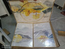 瑞尚（RUISHANG） 北欧客厅装饰画轻奢沙发背景墙挂画简约墙上壁画餐厅玄关墙画 家和富贵B 左右50*70+中间100*70晶瓷面金框 实拍图