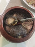 鲜活小鲍鱼一粒（18-20粒/500g） 实拍图