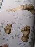 人体解剖彩色图谱 第3三版郭光文人卫版系统局部运动断层基础奈特人体解剖学彩色图谱解刨学奈特系列教材 现货 实拍图