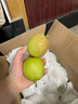 鑫果滋【顺丰新疆直发】新疆库尔勒香梨特级梨子贡梨中秋送礼水果全母梨 【超甜全母梨】【新疆直发】 9斤 一级果(单果100-120g) 彩箱 实拍图