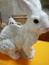 鸿日光辉 仿真动物小白兔子摆件景观公园树脂雕塑工艺品花园林庭院户外装饰品 兔子3兄弟 实拍图