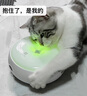 霍曼（Homerun）智能猫玩具甜甜圈自动猫咪互动逗猫棒电动逗猫器猫咪宠物用品 逗猫甜甜圈+羽毛替换装（3支装） 实拍图