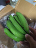 驻晨（ZHUCHEN）云南高山大香蕉10斤装 香甜软糯自然熟青蕉香蕉当季新鲜水果整箱 普通大香蕉 5斤 （含箱） 晒单实拍图
