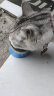 京东京造 猫零食罐头鱼肉味金枪鱼85g*24 成猫幼猫营养(新老包装随机发) 实拍图