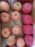 京鲜生 山东栖霞红富士苹果精品12粒 单果190g-240g  水果礼盒 实拍图