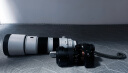 索尼 (SONY) FE 200-600mm F5.6-6.3 G OSS 全画幅超远摄变焦G镜头 (SEL200600G) 晒单实拍图
