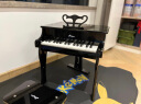 Hape(德国)儿童早教玩具艺术培养30键钢琴典雅黑宝宝生日礼物 E0320 实拍图