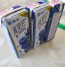 蒙牛真果粒蓝莓味牛奶饮品250g×12盒 蓝莓果粒 饮料 实拍图
