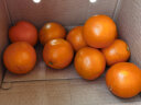 什谷丰 云南冰糖橙 甜橙子 脐橙鲜橙 当季时令生鲜水果 汁多化渣 带箱5斤 单果65-70mm 晒单实拍图