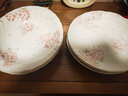 陶趣居日式盘子日本制造樱花餐具套装碗盘3D樱花雨面设计陶瓷套装间取樱 9.4英寸椭圆深盘 实拍图