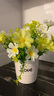 伊芙美小雏菊仿真花假花盆栽花艺摆件客厅家居餐桌办公室桌面装饰品摆设 28头白绿雏菊+陶瓷love瓶 实拍图